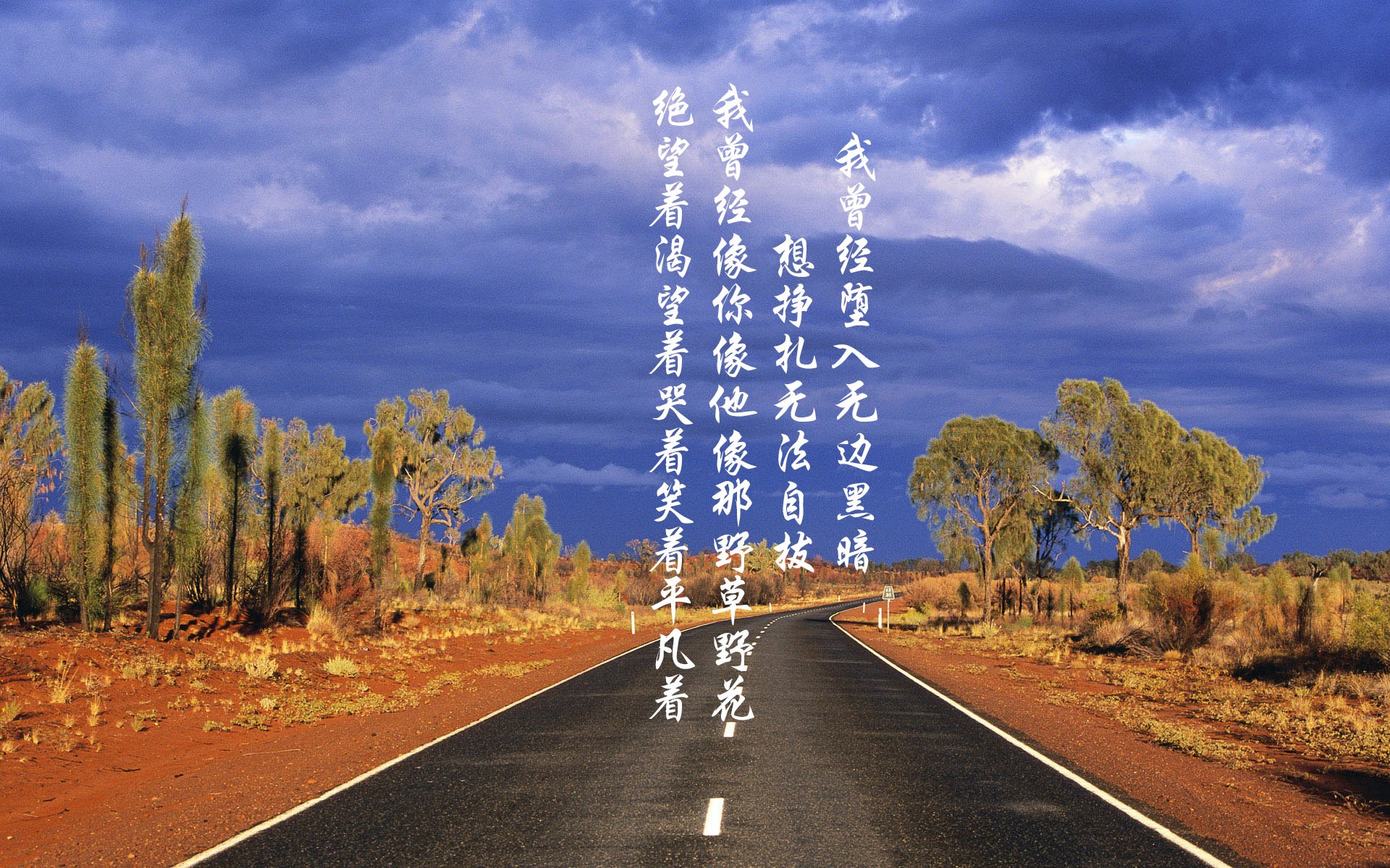 开云入口-团队精神：冠军车队的铁血纪律，车队团结力量大