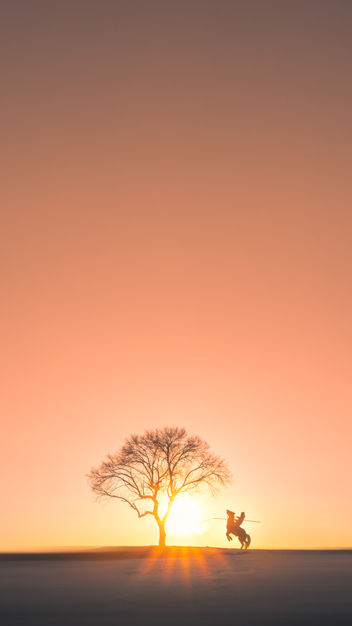 开云网站-宁波篮球培训基地正式揭牌，助力青少年成长，宁波打篮球培训地方