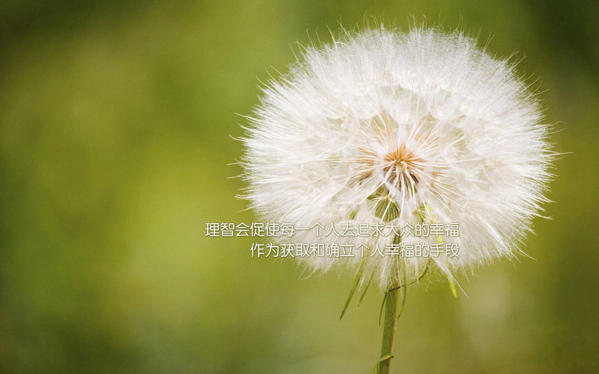 KAIYUN 中国大陆-安德烈·桑托斯在斯特拉斯堡表现出色，未来备受期待，安德雷桑托斯