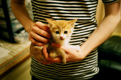 火箭宣布启动“城市篮球梦想基金”,支持基层篮球发展,火箭队城市