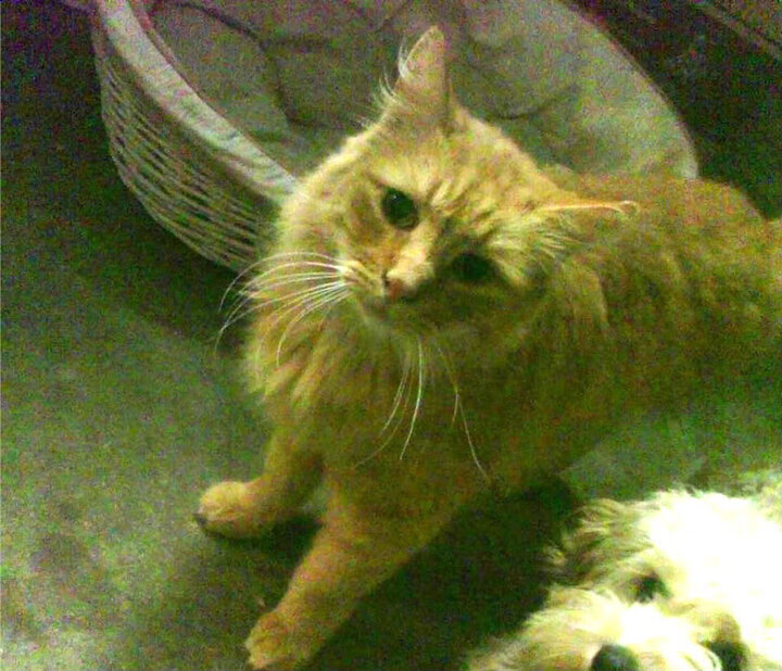 电竞场馆建设提速,推动线下赛事发展,电竞比赛场馆