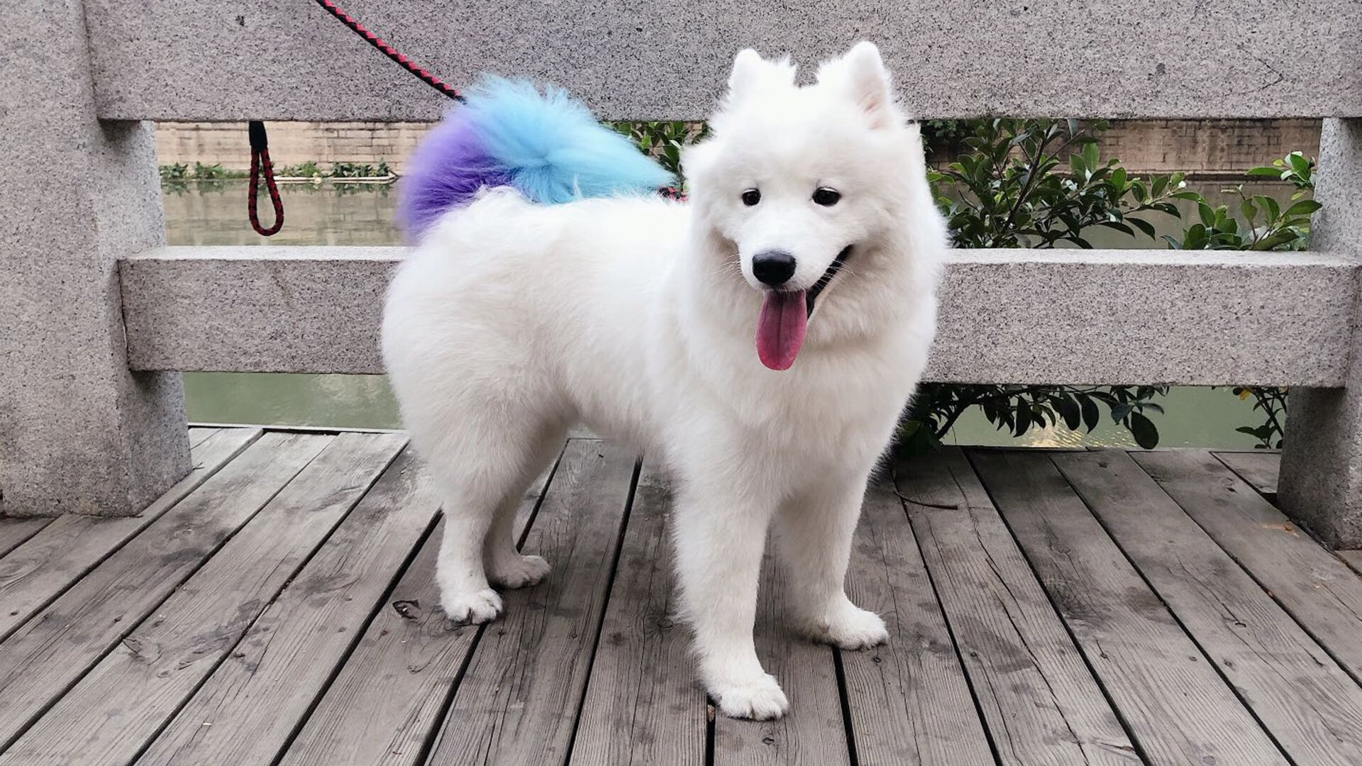 篮球青训体系科学管理持续完善,篮球青训体系科学管理持续完善的措施