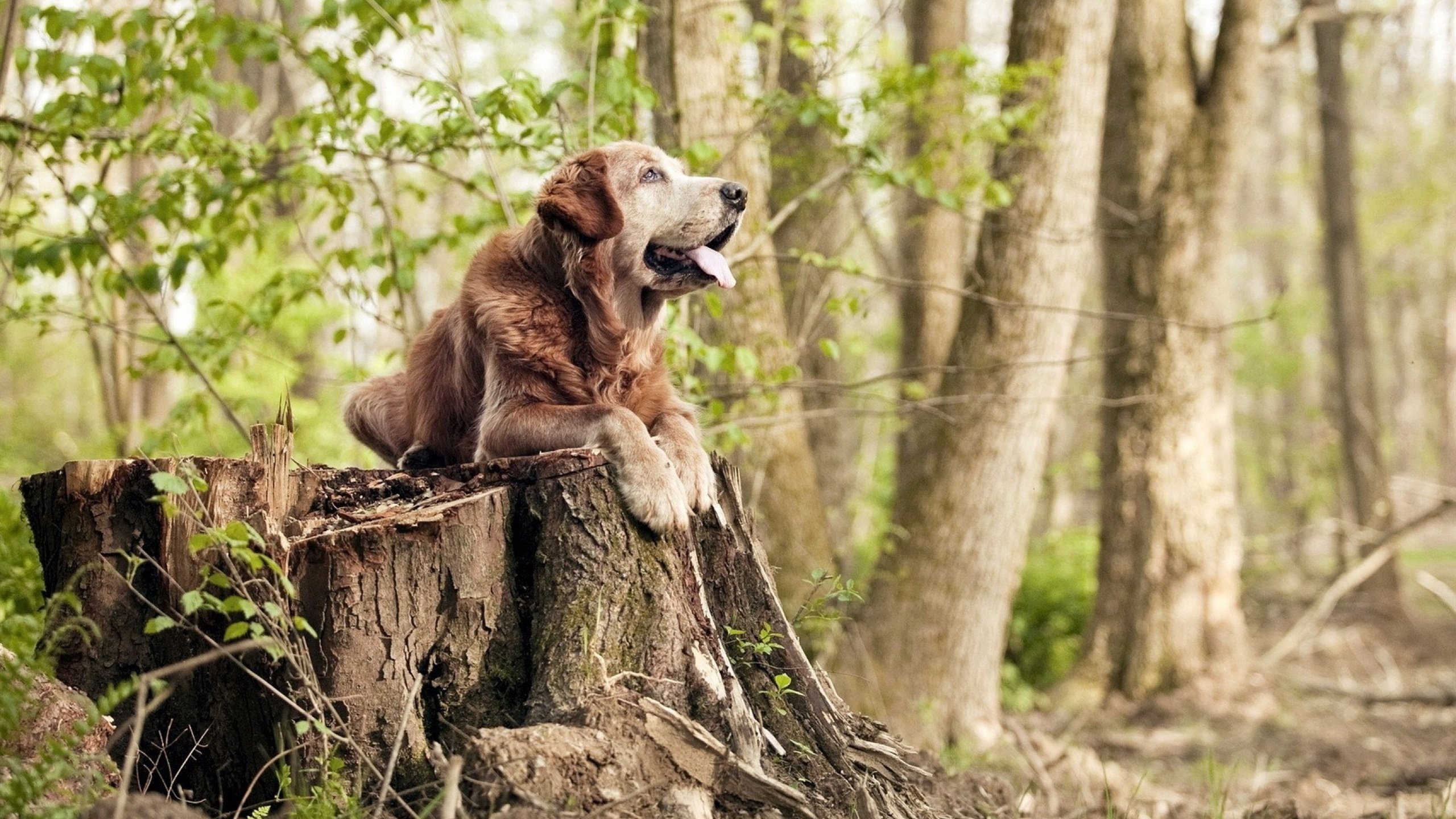 全北现代连续多场比赛不败，全北现代今天比赛结果