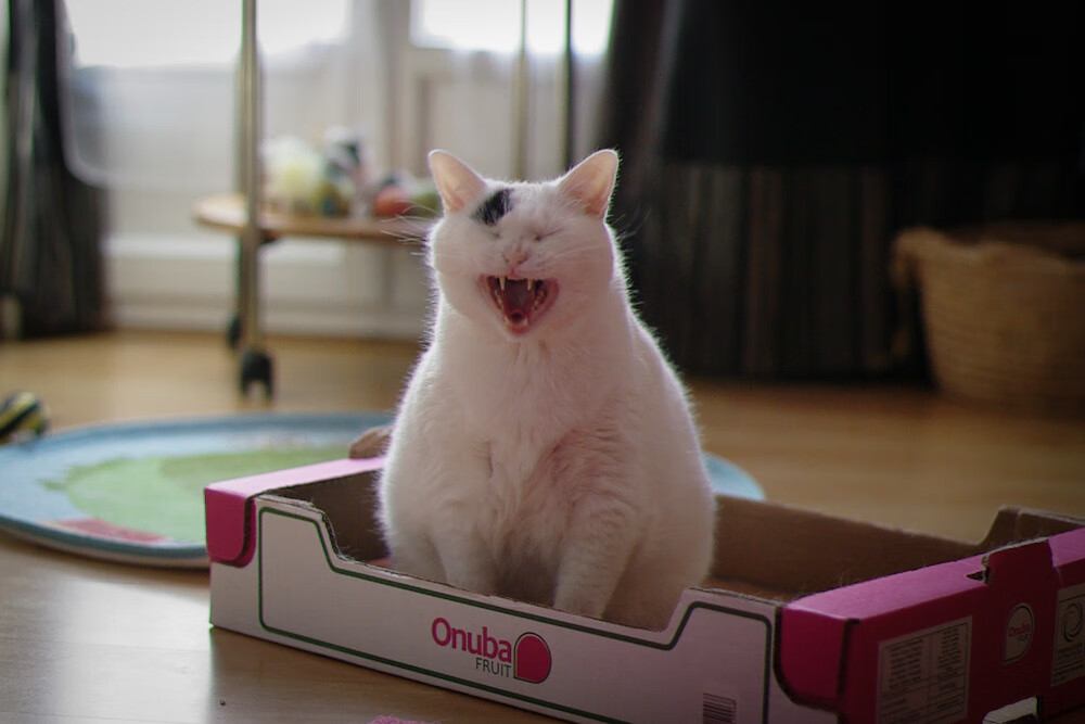 kaiyun登录入口-全场网球八强战对阵图正式揭晓，网球全场型打法